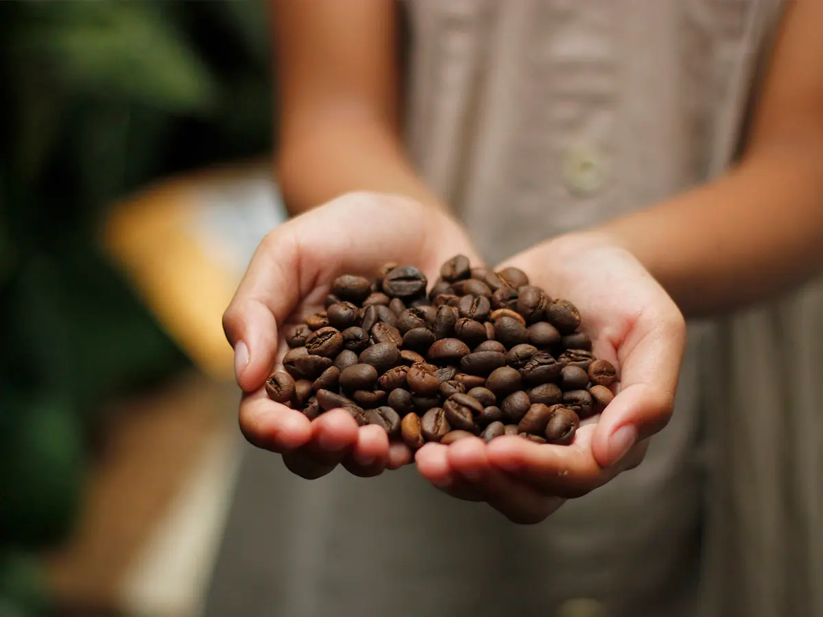 Granos de café colombiano